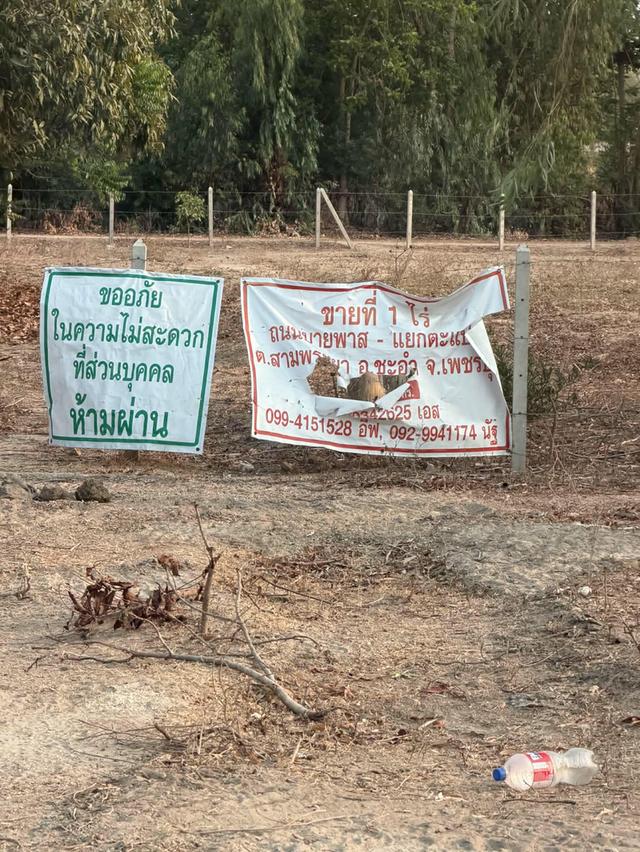 ขายพระเครื่อง ที่ดิน 1