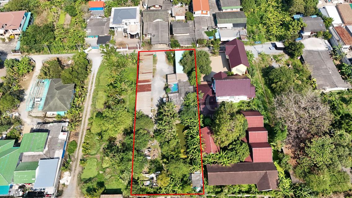 ที่ดิน 1 ไร่ ซอย สุคนธวิท 29 กระทุ่มแบน - สมุทรสาคร ราคาถูก 5