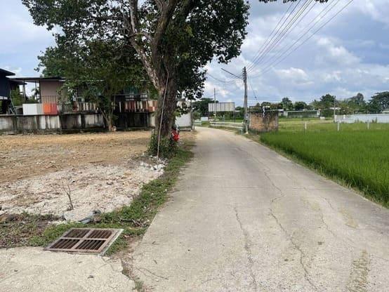 ด่วนที่สุด ที่ดินแปลงสวยถมแล้ว 244 ตร.ว. วิวทุ่งนา ดอยสุเทพ เพียง 15 นาทีจากเซ็นทรัลเฟส 9