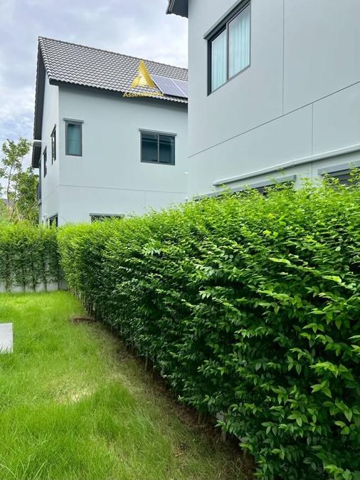 ให้เช่าบ้านเดี่ยว หมู่บ้านสราญสิริ เวสต์เกต บ้านมีเฟอร์ รับสัตว์เลี้ยง ใกล้ร.ร.กสิณธร 7