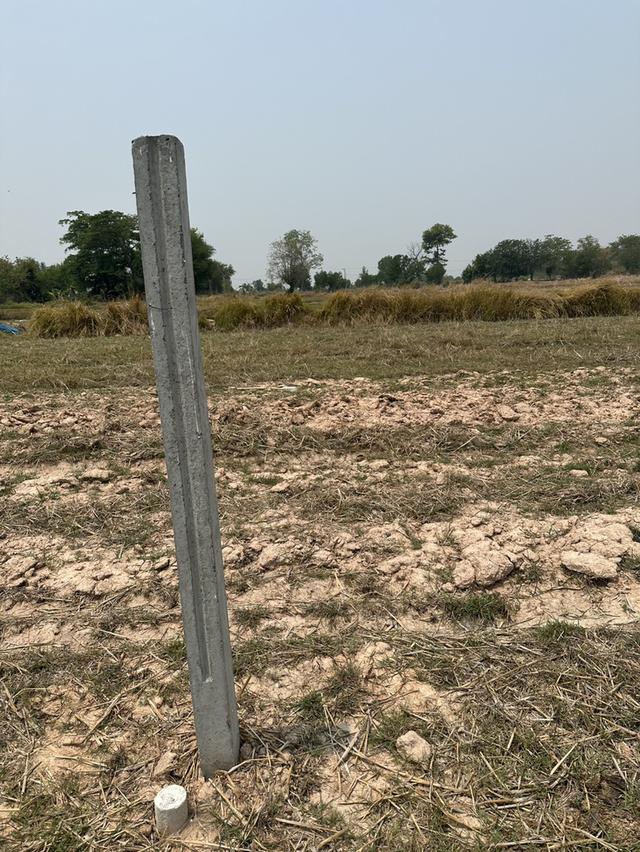 ขายที่ดิน บ้านนาดอกไม้ อ.บ้านฝาง จ.ขอนแก่น 4