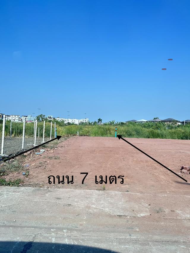 ขายที่ดินโฉนดครุฑแดง 7