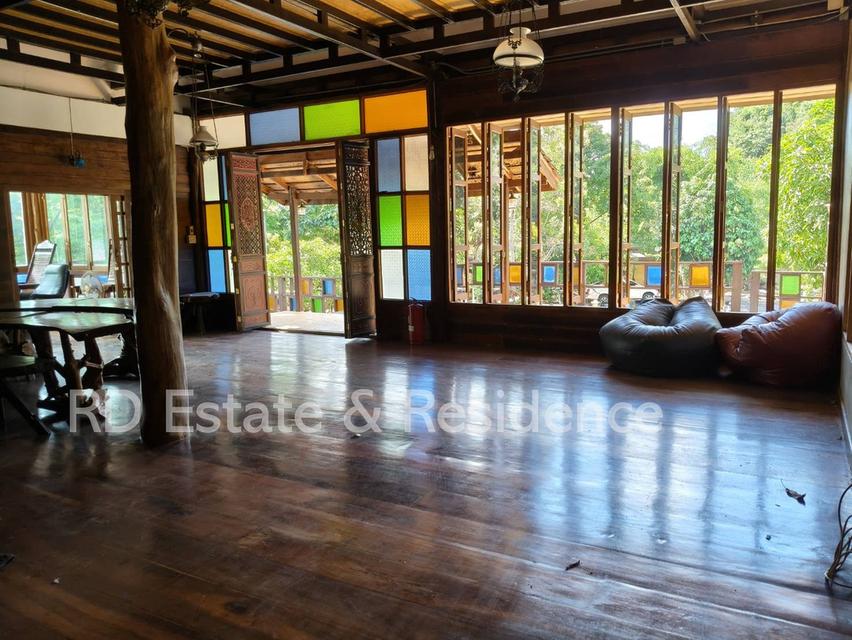 ขายรีสอร์ทกิจการเขาใหญ่ ที่ดินปากช่อง ต้นไม้ใหญ่ 446ตร.ว ธนะรัชต์ ท่าช้าง หมูสี ที่ติดเขา เหมาะทำรีสอร์ท ร้านอาหาร คาเฟ่ ใกล้น้ำผุด อุทยาน 0879074045