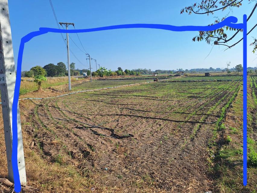 ที่ดินติดถนนเลี่่ยงเมือง234 2