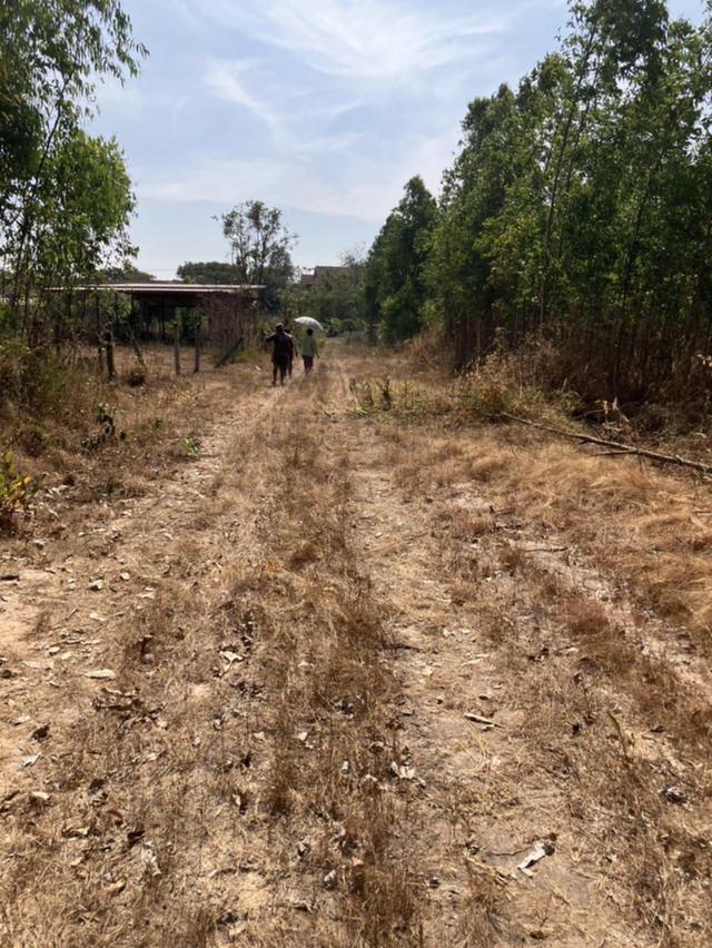 ขายที่ดิน ติดราชมงคลภาคอีสาน สกลนคร พังโคน ราคาถูก 2
