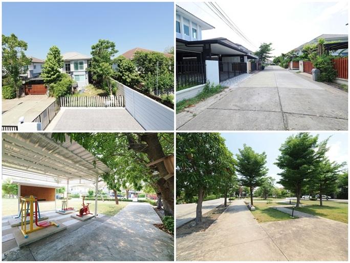 ขายราคาพิเศษ บ้านเดี่ยว 2 ชั้น พื้นที่กว้าง ม.พฤกษาวิลเลจ 30 เดอะซีซัน แจ้งวัฒนะ–ราชพฤกษ์ 13