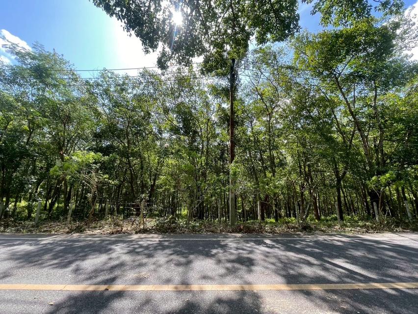 ที่ดินทำเลดี เขาขาด จังหวัดภูเก็ต 5