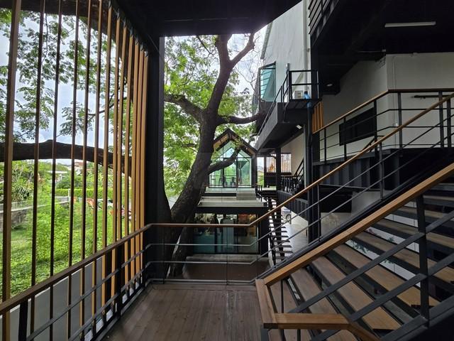 ให้เช่าสำนักงาน 66 ตร.ม. เพดานสูง 4.2 เมตร ซอยลาดพร้าว 15 ที่จอดรถเยอะมาก ใกล้ MRT ลาดพร้าว ***จดบริษัทได้ 6