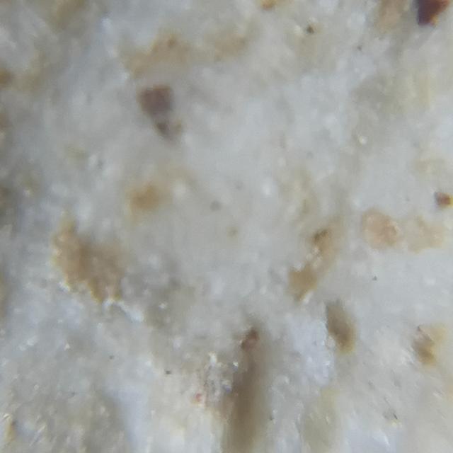 พระกรุเก่าวัดบางขุนพรหม พิมพ์ใหญ่พระประทาน รูปที่ 8