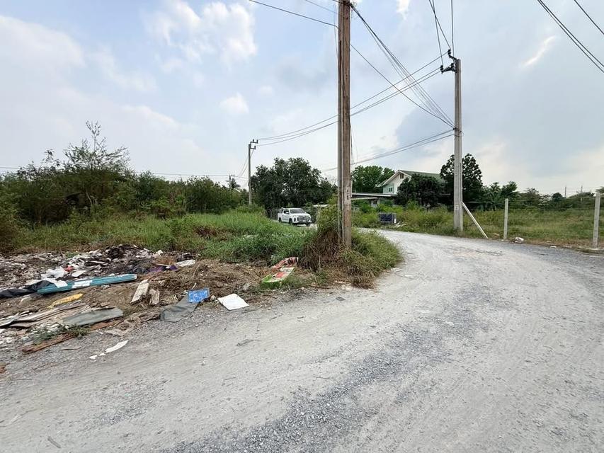 ขายด่วนที่ดิน 115 ตารางวา แปลงมุม ติดถนนสาธารณะ รร.บ้านคลองฝรั่ง อ.ไทรน้อย จ.นนทบุรี 2