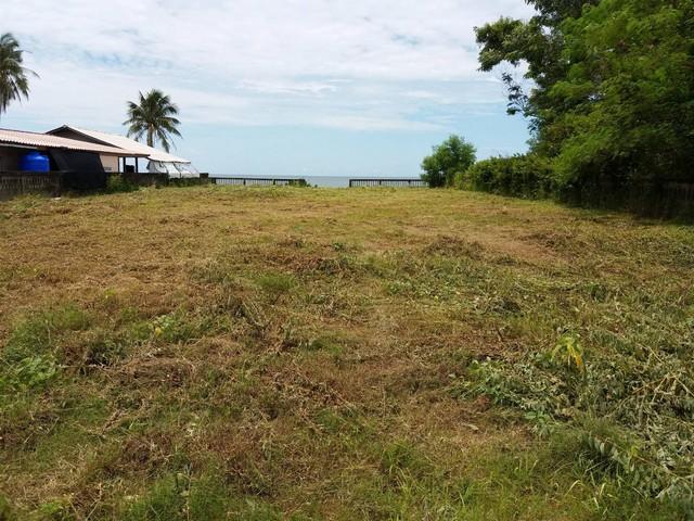พฤษภาแห่งการซื้อทรัพย์ดีน่าลงทุน ขายที่ดินริมหาดสะพลีทรายขาวน้ำใสคราม สวยงามวิวทะเลธรรมชาติสุดสุด ปะทิวใกล้หาดสวยทุ่งวัว