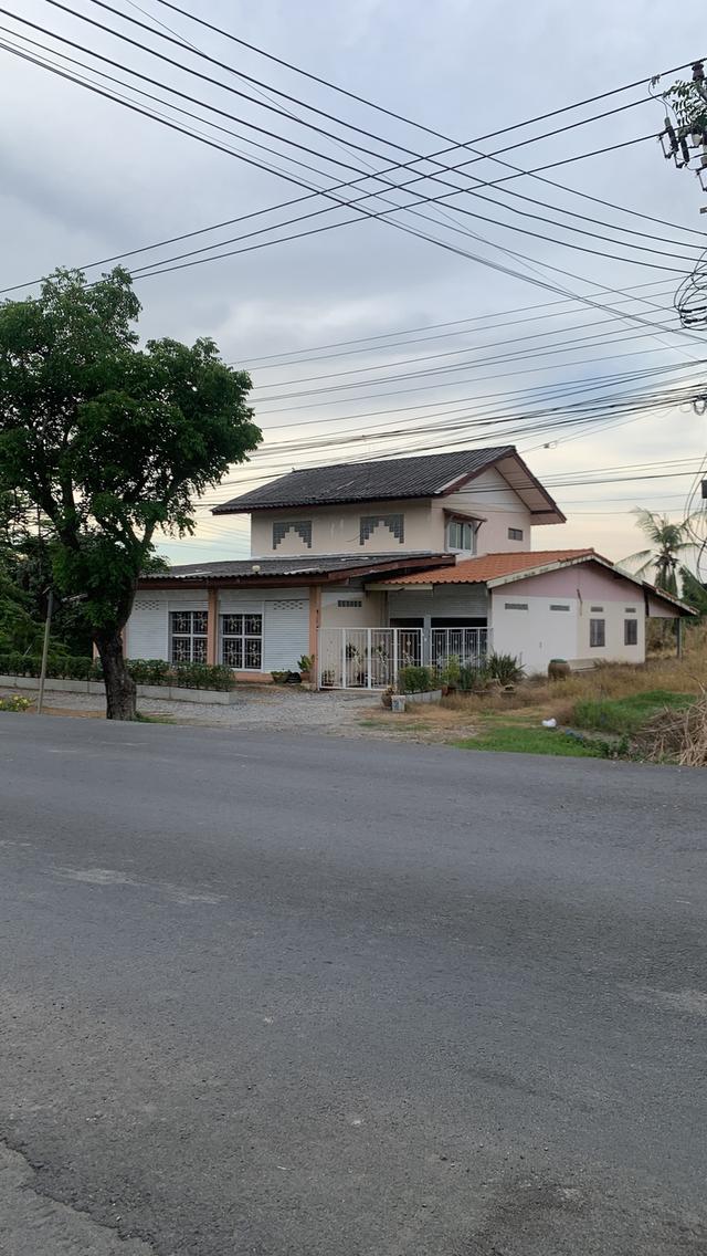 ขายบ้านพร้อมที่ดิน 200 ตารางวา ทำเลศักยภาพ หนองจอก ติดถนนใหญ่ เหมาะอยู่อาศัยและต่อยอดธุรกิจ 11