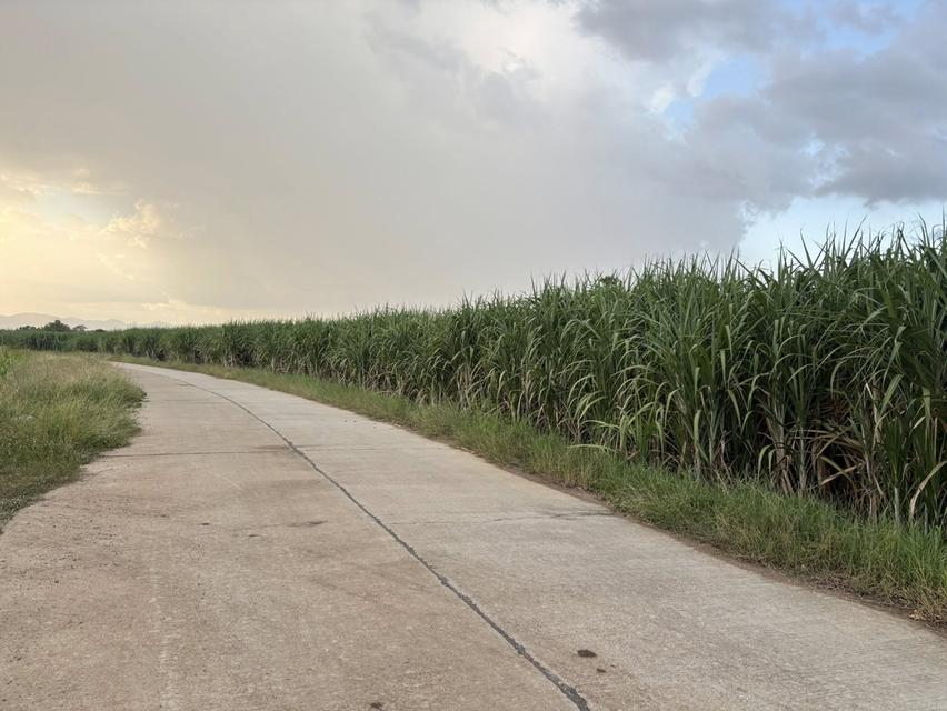 ที่ดินทำเลทอง! 5 ไร่ (นส.3 ข.) ติดถนนคอนกรีต ใกล้เมืองกาญจน์ 20 กม. 4