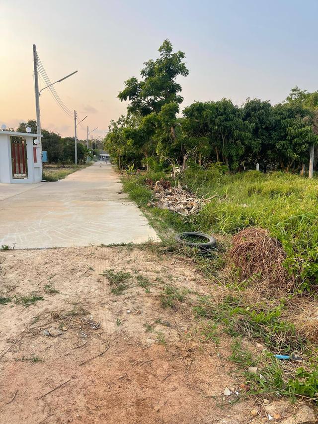 ขายที่ดินบ้านเพ 343 ตรว. จำรุงซอย4 ใกล้หาดแม่รำพึง-1.5กม. เมืองระยอง