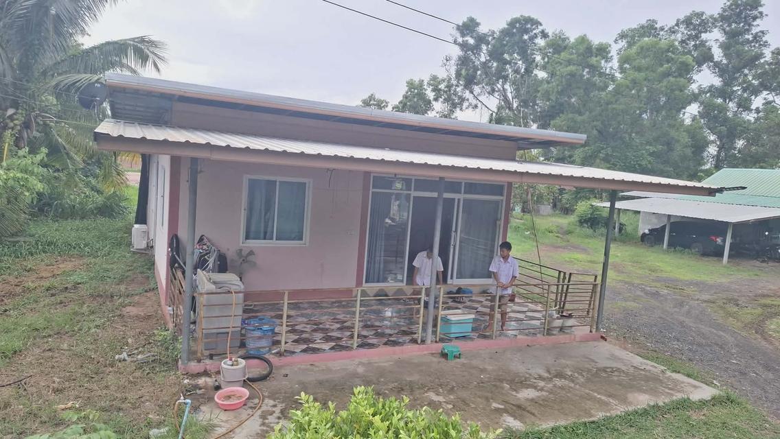 บ้านสองหลังพร้อมที่ดินสองไร่ 2