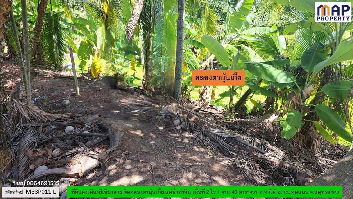 ที่ดินริมคลอง ผังเมืองสีเขียวลาย 2