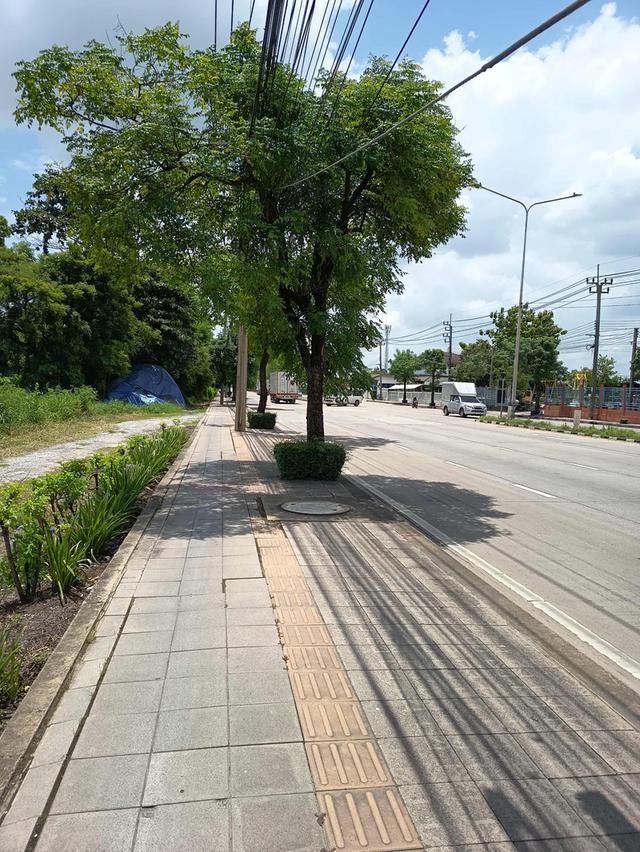 ที่ดินนิมิต​ใหม่​ 5