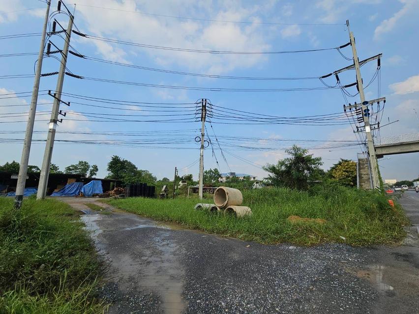 ขายที่ดินเปล่า พุทธมณฑลสาย 6 จังหวัดนครปฐม 6