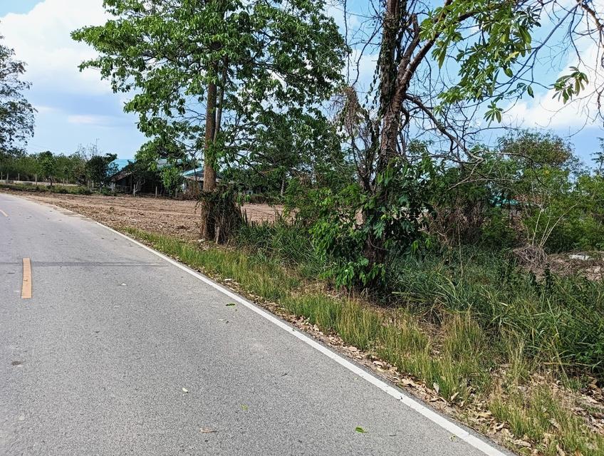 ขายที่ดินหัวหิน 3 ไร่ 9