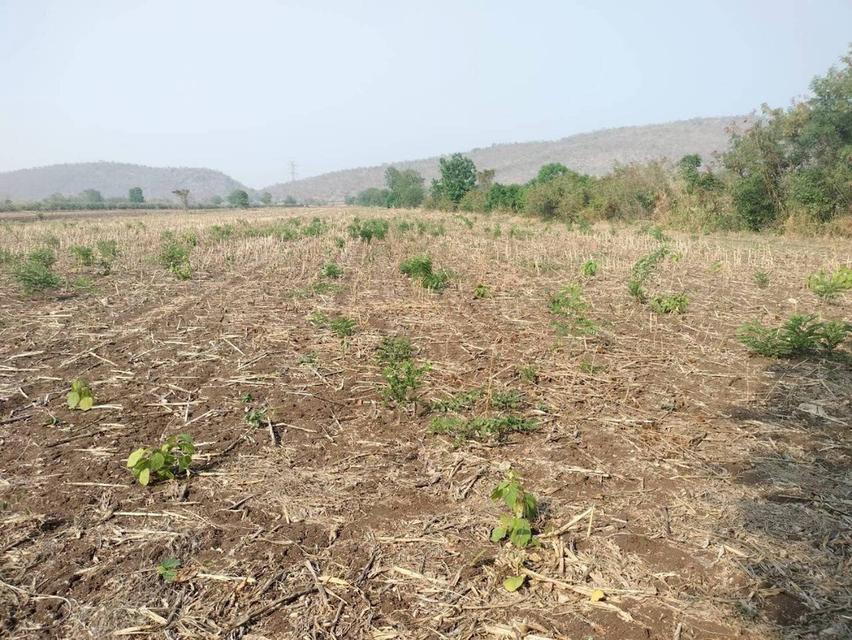 ขายที่ดินสวย ทำเลทอง ติด 4 เลน ตากฟ้า นครสวรรค์ 3