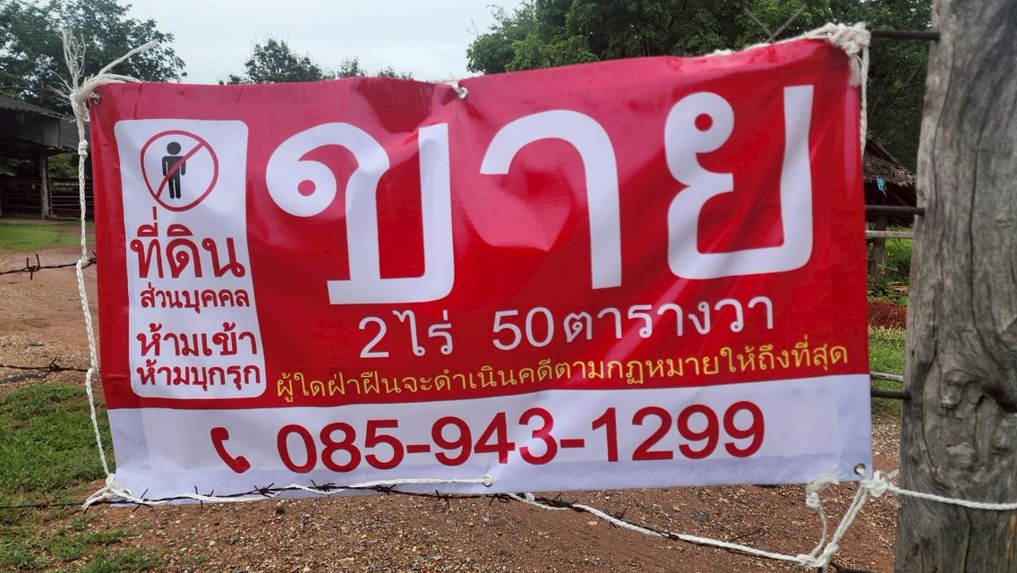 ขายที่ดิน 2 ไร่ 50 ตารางวา ติดถนนลาดยาง วิวภูเขา จ.กาญจนบุรี  2
