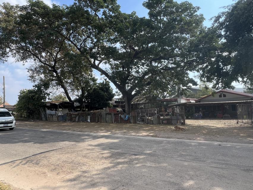 ที่ดิน1 ไร่ ขาย2,100,000ต่อลองราคาพูดคุยกันได้ค่ะ ที่ในตลาด ตรงขั้มเป็นปั้มน้ำมัน และข้างๆเป็นที่ฟอกไตทำเลดีค่ะ 4