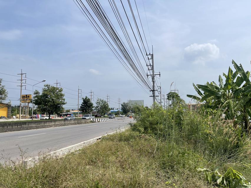 ขายที่ดินติดถนนบรมราชชนนี 30 ไร่ ใกล้เซ็นทรัล ศาลายา 8