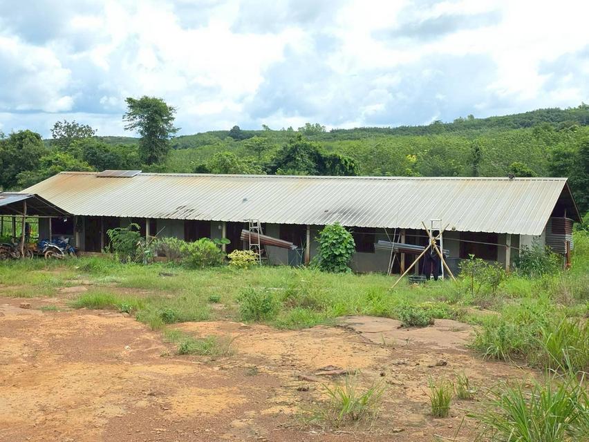 ขาย สวนเกษตร ฟาร์ม 914.75 ไร่ 16