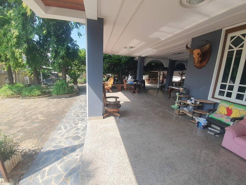 ขายบ้านพร้อมที่ดิน 300 ตร.วาย่านปากเกร็ด 6