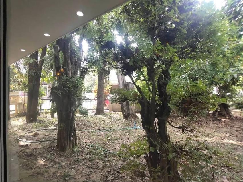 ขายบ้าน โครงการอรสิริน 3 เชียงใหม่ 4