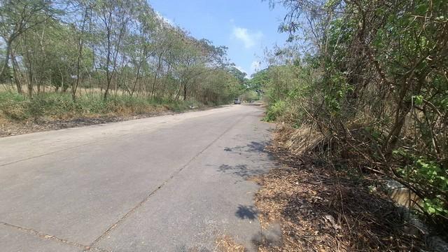 ขายที่ดินถมแล้ว 313 ตรว.ใกล้ทางเข้า-ออกถนนบางนา-ตราด 26โครงการรอยัล เพลส ด้านหลังติดวิวน้ำ ต้นไม้ล้อมรอบ บรรยากาศดี สมุท 7