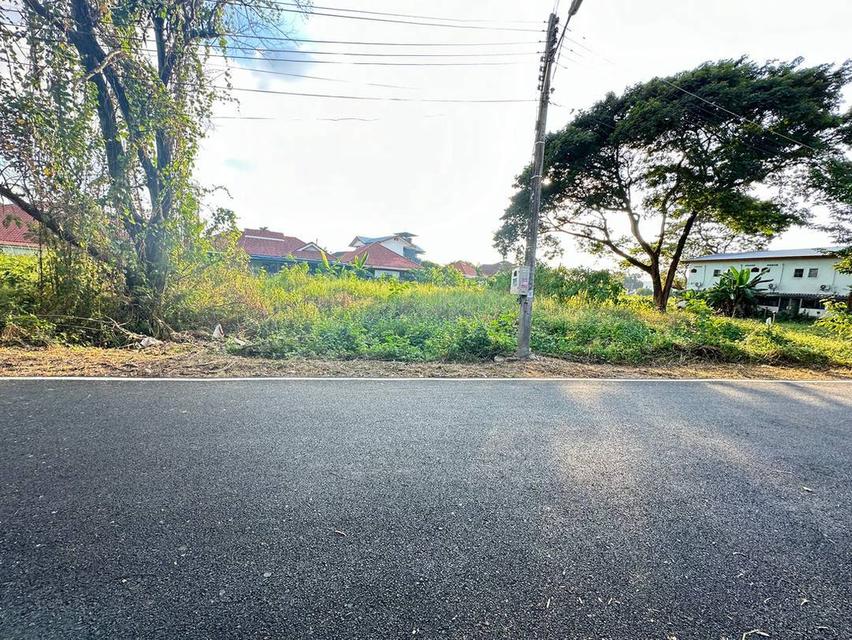 ขายที่ดินโซนด้านหลังโรงเรียนวารีเชียงใหม่ เดินทางสะดวก เข้า-ออกได้หลายทาง บรรยากาศร่มรื่น เงียบสงบ เพียงตารางวาละ 24,725 บาท 6