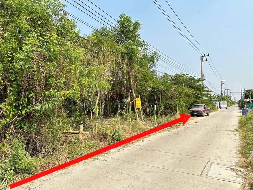 ขายด่วนที่ดินถมแล้ว 75 ตรว.ซอยบงกช 43ถนนเลียบคลอง 2 ต.คลองหลวง จ.ปทุมธานี 6
