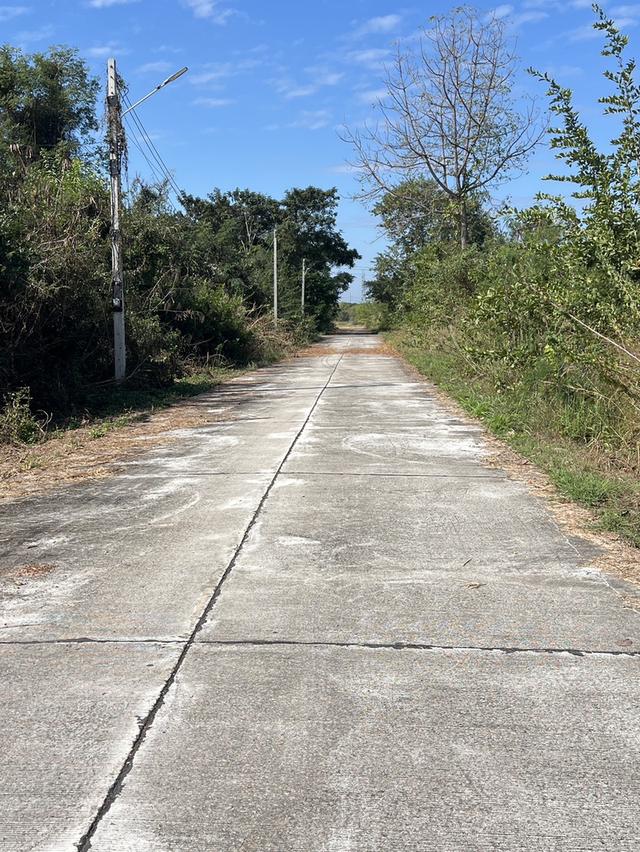 ที่ดินสวยแปลงสวยเหมาะสำหรับปลูกบ้าน 3