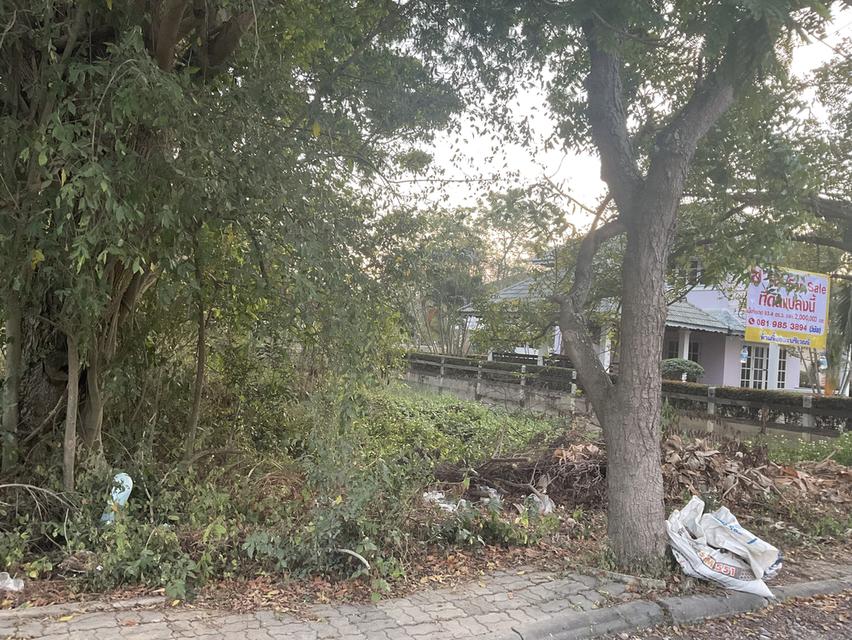 ที่ดินเปล่าใกล้ทะเล โครงการบางซองลากูน ปึกเตียน เพชรบุรี 2000000 บาท 3