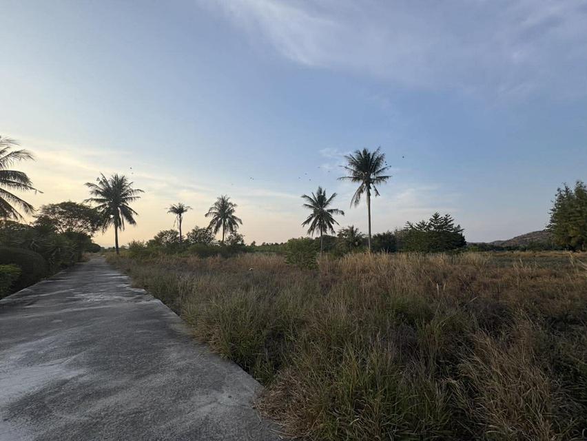 ขายที่ดินปราณบุรี วิวเขา สวยธรรมชาติ พื้นที่ 22 ไร่ 6 งาน 35 ตารางวา รายละเอียด *** ในราคาเสนอขาย 1,500,000  บาท/ไร่  โฉนด นส.3 ก. (ราคาต่อรองได้) 3