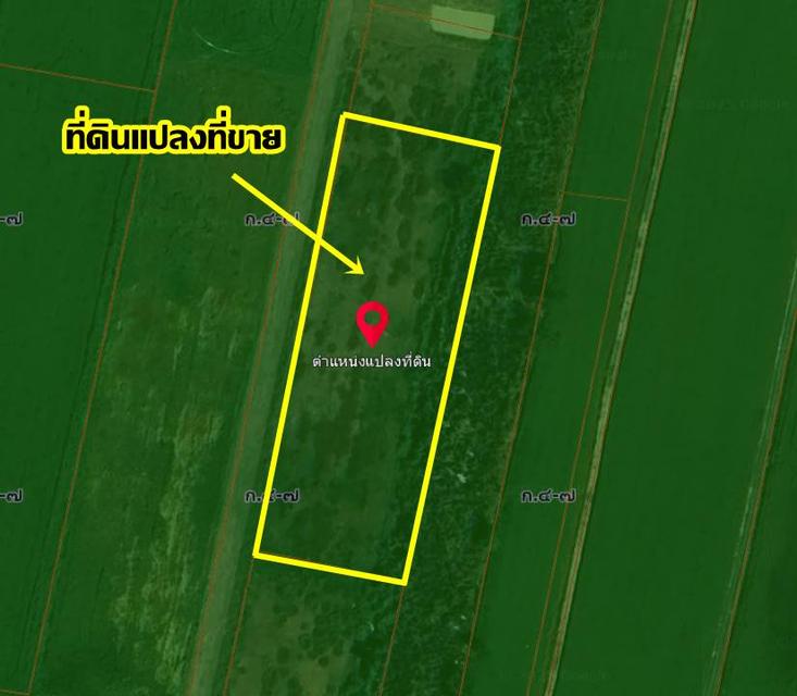 ขายที่ดินเปล่า ซอยผดุงพันธ์21 หนองจอก กรุงเทพมหานคร 6