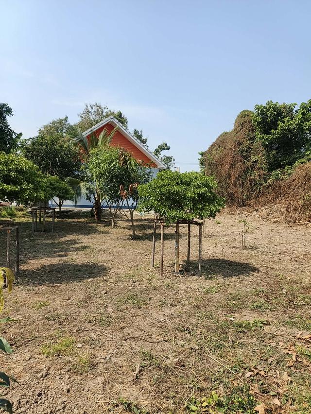 ที่ดินและบ้านพร้อมอยู่ 13