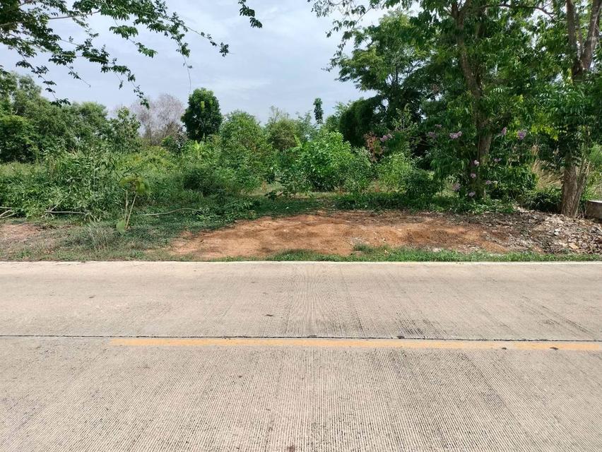 ขายด่วนที่ดินใกล้วัดสโมสร 100 ตรว ติดถนนสาธารณะ ถมแล้ว บึงบอน7 หนองเสือ ปทุมธานี 4