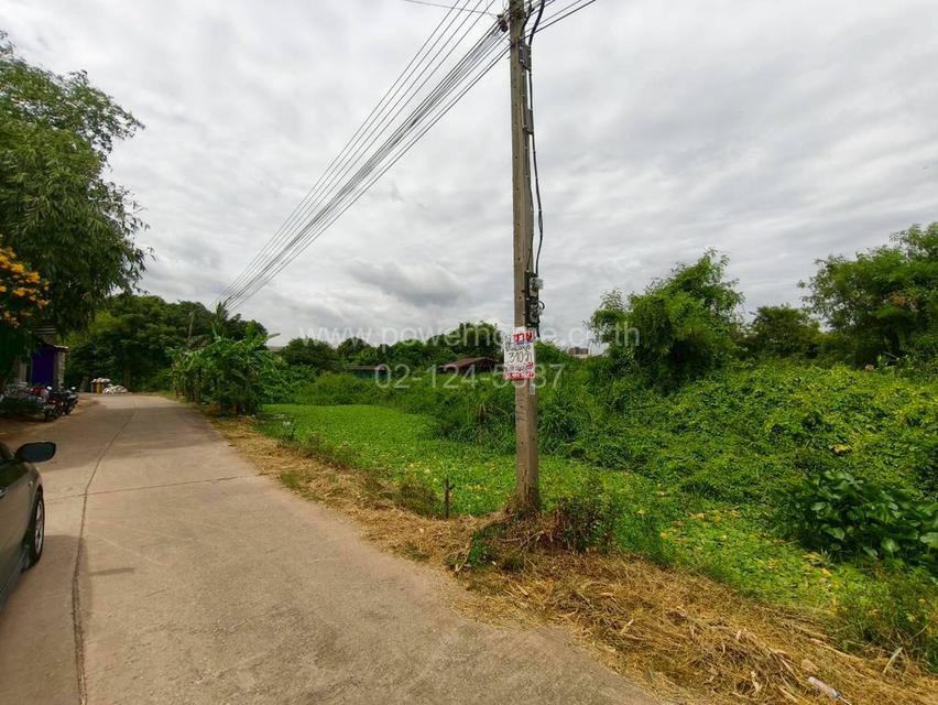 ที่ดินเปล่า ซอยเทศบาล11/1 ถนนกาญจนาภิเษก ต.บางรักพัฒนา อ.บางบัวทอง จ.นนทบุรี