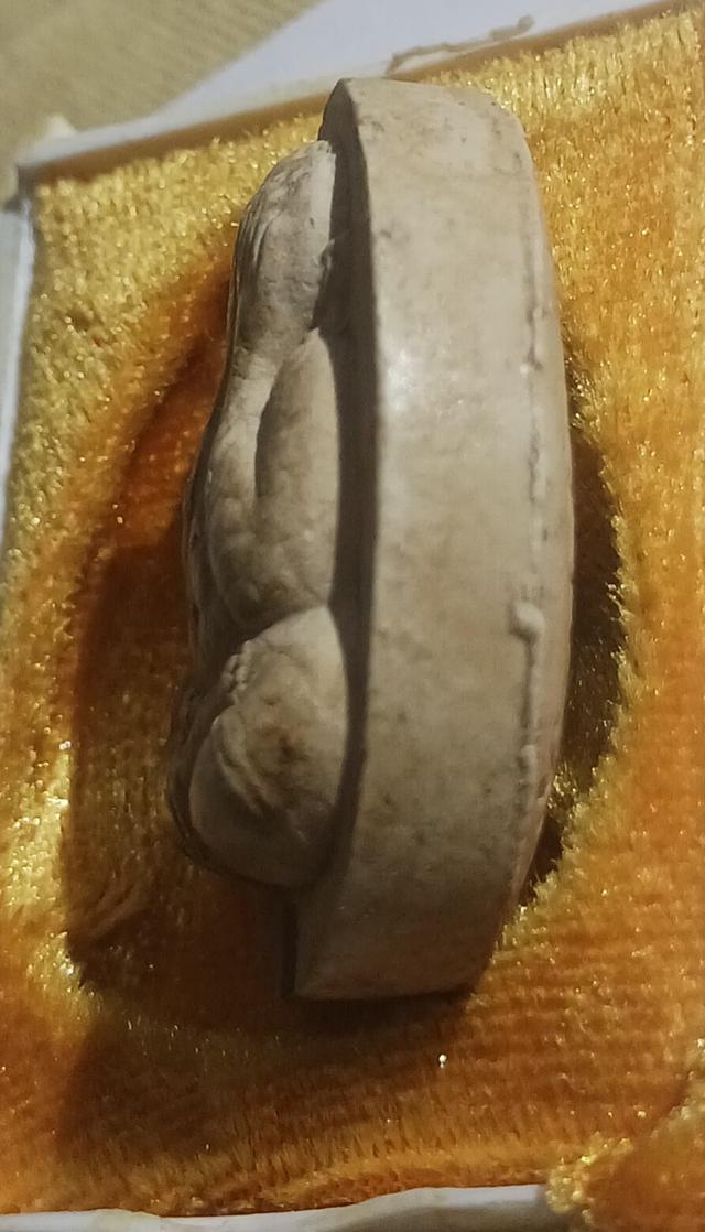 จัมโบ้ 2 เนื้อผงเกสร 3