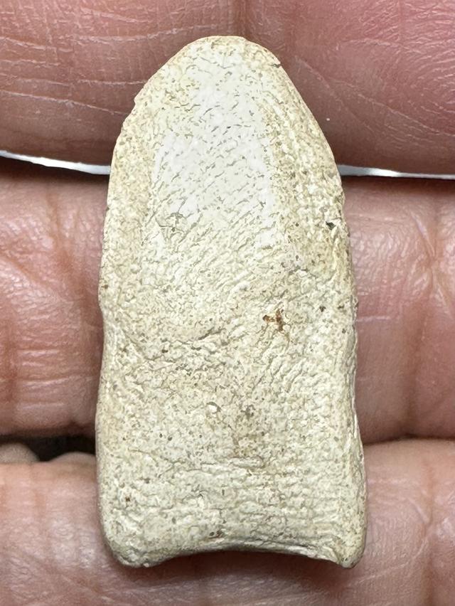 พระรอดลาำพูน องค์ละ1 000 10