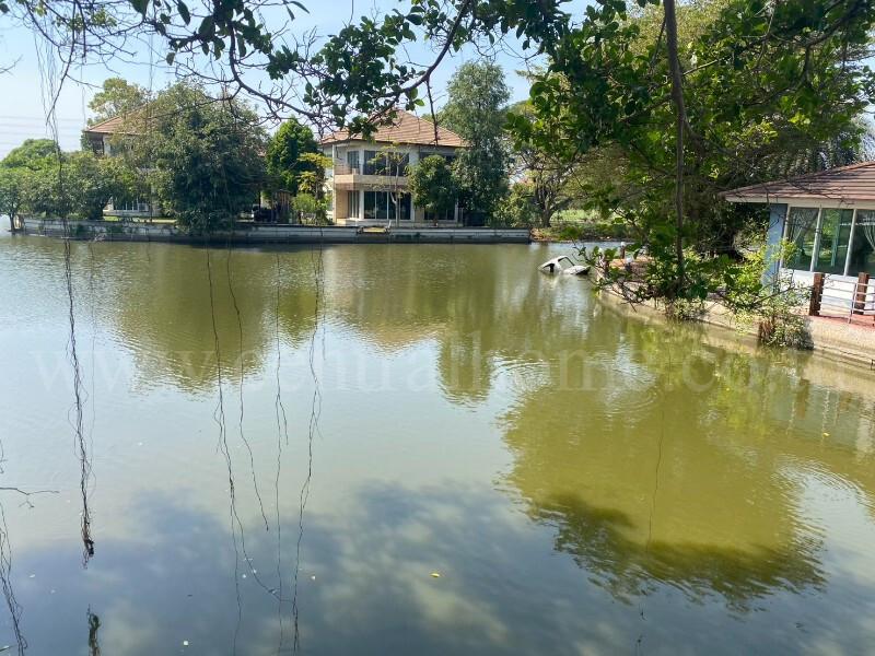 ที่ดินเปล่า ถมแล้ว 308.9 ตร.วา หมู่บ้าน การ์เด้นลากูน่า - ฉะเชิงเทรา แปลงมุม 8