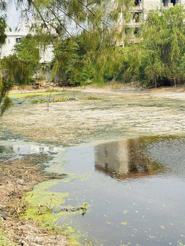 ขายที่ดินบ่อปลา มีนบุรี หทัยราษฎร์ ขนาด 8-3-36 ไร่ 4