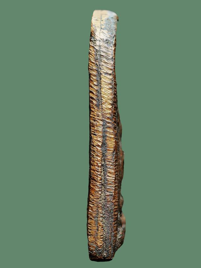 เหรียญหล่อ หลวงพ่อทา วัดพะเนียงแตก รุ่นแรก หลังยันค์ มะ อะ อุ....เก่า เดิมๆ รูปที่ 5