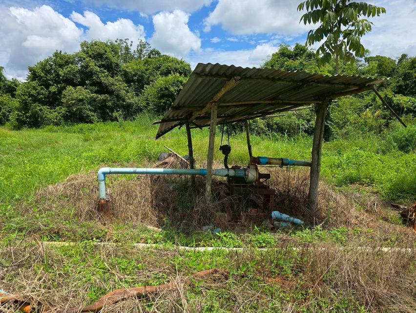 ขาย สวนเกษตร ฟาร์ม 914.75 ไร่ 14