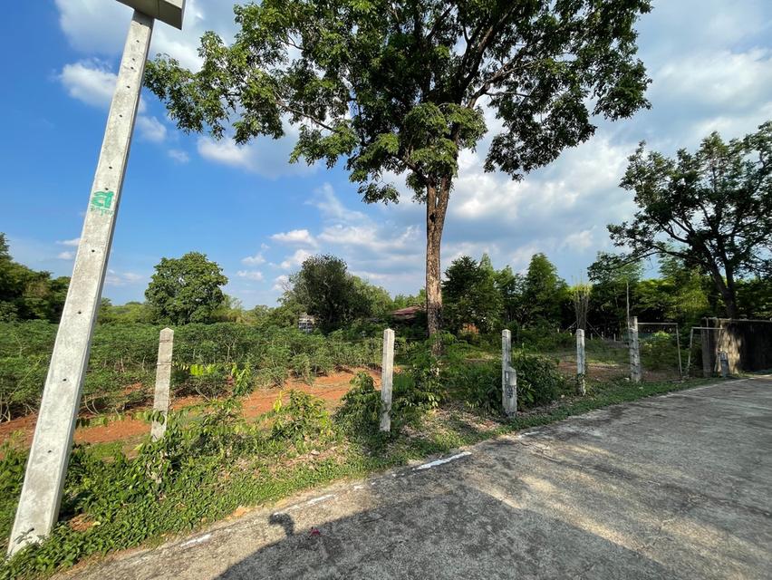 ขายที่ดิน ต.ประจันตคาม  อ.ประจันตคาม จ.ปราจีนบุรี 10 ไร่ 2 งาน 50 ตร.ว น้ำไฟ เข้าถึง มีถนนคอนกรีดตัดผ่านตลอดแนวด้านหน้าที่ดิน **ราคา 4.2 ล้านบาท**  6