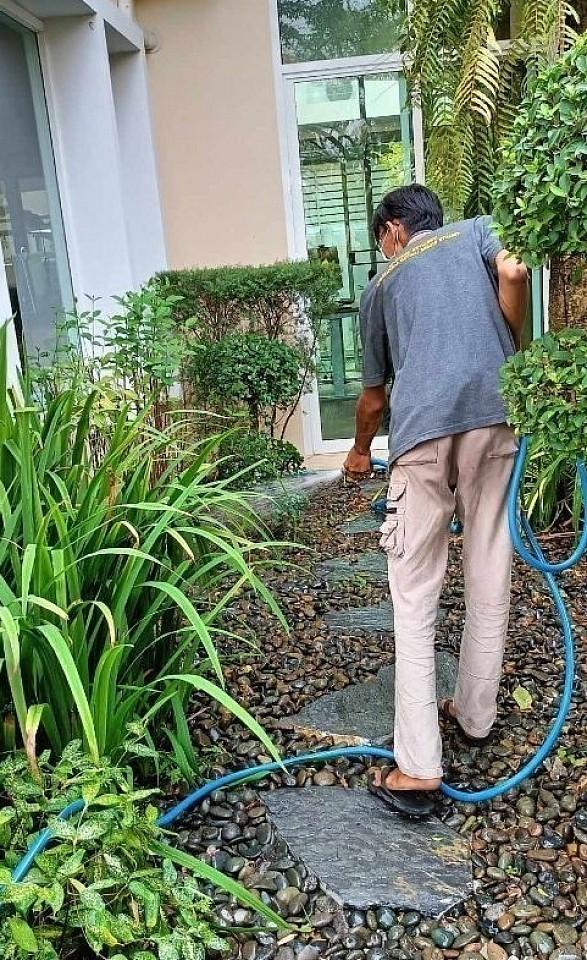 บริการกำจัด ปลวก มล แมลง ยุง หนู ครบวงจร 2