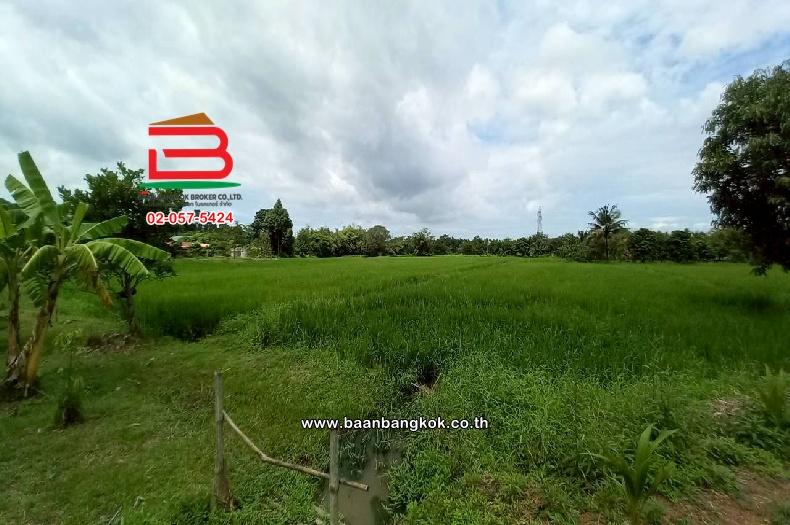 ที่ดินเปล่า บ้านเนินหอม(ม.4) เนื้อที่ 29-0-52 ไร่ ( เทศบาลซอย 12) ตำบลเนินหอม อำเภอเมืองปราจีนบุรี ปราจีนบุรี 4