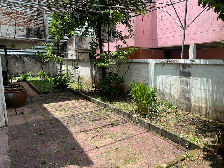 ขายบ้านเดี่ยวจตุจักร เลขที่ 101 ซอยพหลโยธิน 19/1 เขตจตุจักร เนื้อที่ 56 ตร.วา 3 ห้องนอน 3 ห้องน้ำ ใกล้เซ็นทรัลลาดพร้าว 4